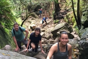 Wandeling op de Tafelberg met lokale gids