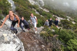 Wandeling op de Tafelberg met lokale gids