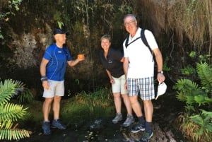 Wandeling op de Tafelberg met lokale gids