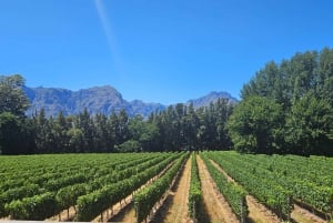 Table Mountain, Historic City & Winelands Private Day Tour.