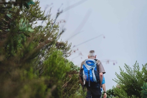 Taffelberget: Kasteelspoort till övre Cable Station.