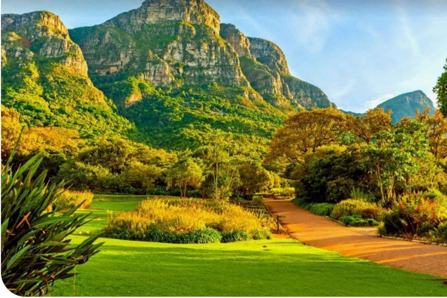 Góra Stołowa Kirstenbosch Świat Ptaków i Fabryka Diamentów