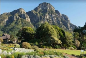 Góra Stołowa Kirstenbosch Świat Ptaków i Fabryka Diamentów
