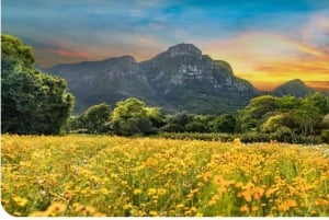 Góra Stołowa Kirstenbosch Świat Ptaków i Fabryka Diamentów