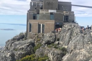 Góra Stołowa Kirstenbosch Świat Ptaków i Fabryka Diamentów