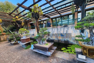 Table Mountain Kirstenbosch World of Birds & Diamond Factory