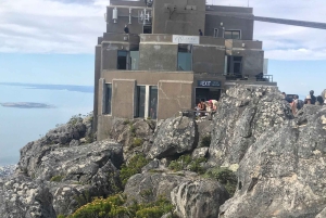 Table Mountain Kirstenbosch World of Birds & Diamond Factory