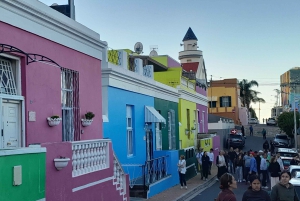 Table Mountain Kirstenbosch World of Birds & Diamond Factory