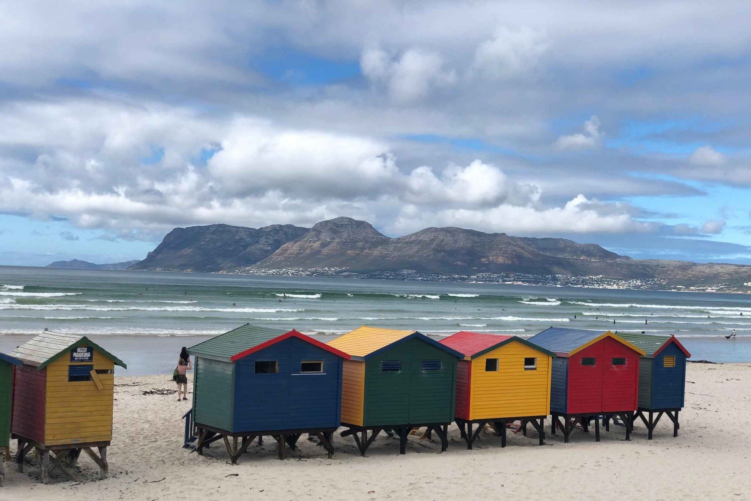 Table Mountain Penguin Colony & Cape Point Incl. Park Fees