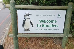 Table Mountain Penguins und Kap der Guten Hoffnung Private Tour