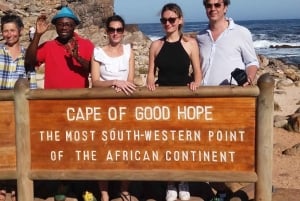 Table Mountain Penguins und Kap der Guten Hoffnung Private Tour