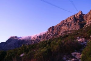 Table Mountain, Penguins & Cape of Good Hope Private Tour