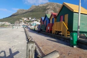 Ciudad del Cabo: Excursión a la Montaña de la Mesa, los Pingüinos y el Cabo de Buena Esperanza