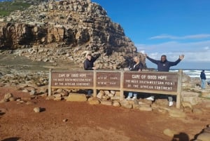 Ciudad del Cabo: Excursión a la Montaña de la Mesa, los Pingüinos y el Cabo de Buena Esperanza