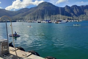 Ciudad del Cabo: Excursión a la Montaña de la Mesa, los Pingüinos y el Cabo de Buena Esperanza