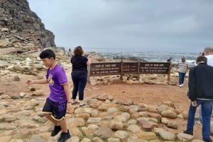 Ciudad del Cabo: Excursión a la Montaña de la Mesa, los Pingüinos y el Cabo de Buena Esperanza