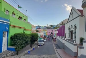 Ciudad del Cabo: Excursión a la Montaña de la Mesa, los Pingüinos y el Cabo de Buena Esperanza