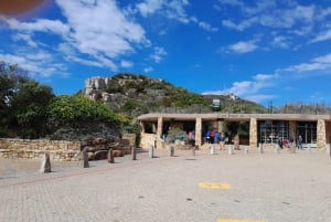 Ciudad del Cabo: Excursión a la Montaña de la Mesa, los Pingüinos y el Cabo de Buena Esperanza