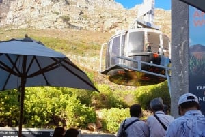 Ciudad del Cabo: Excursión a la Montaña de la Mesa, los Pingüinos y el Cabo de Buena Esperanza