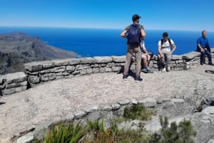 Ciudad del Cabo: Excursión a la Montaña de la Mesa, los Pingüinos y el Cabo de Buena Esperanza