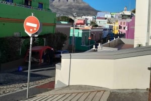 Ciudad del Cabo: Excursión a la Montaña de la Mesa, los Pingüinos y el Cabo de Buena Esperanza