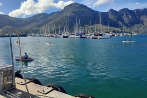 Ciudad del Cabo: Excursión a la Montaña de la Mesa, los Pingüinos y el Cabo de Buena Esperanza