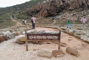 Ciudad del Cabo: Excursión a la Montaña de la Mesa, los Pingüinos y el Cabo de Buena Esperanza