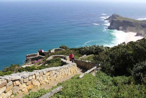 Excursão de um dia aos pinguins da Table Mountain e Cape Point saindo da Cidade do Cabo