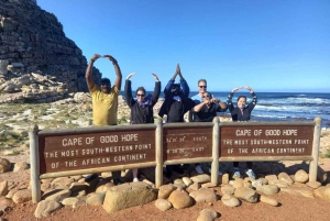 Table Mountain, Penguins, Cape Point Full Day Group Tours