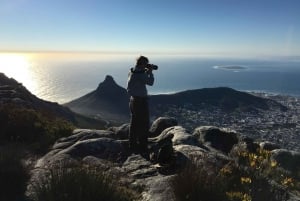 Table Mountain: Escursione alla gola di Platteklip