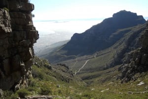 Table Mountain: Caminhada pelo desfiladeiro de Platteklip