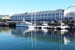 Экскурсия на Столовую гору и остров Роббен с билетами на паром.