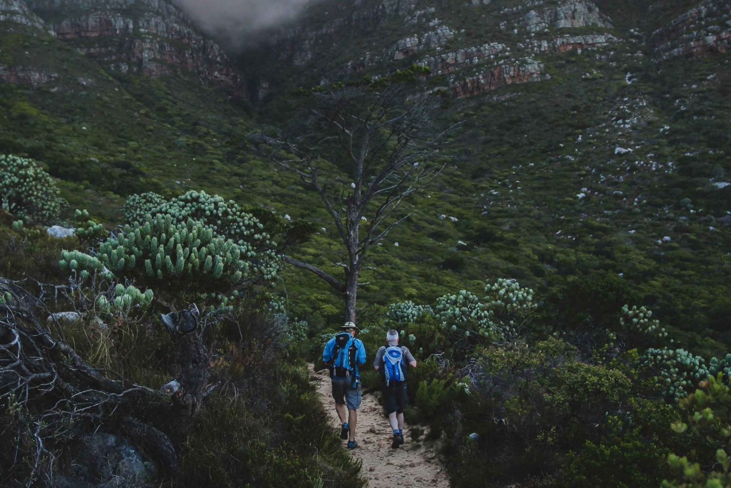 Tafelberg: Skeletkloof wandeling