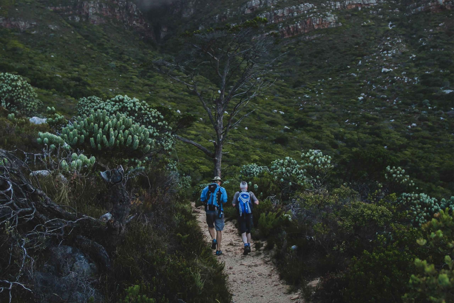 Table Mountain: Skeleton Gorge Hike