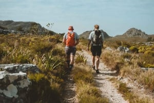 Tafelberg: Tranquility Cracks Wanderung