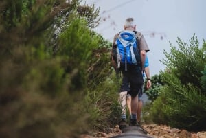 Table Mountain: Escursione alle crepe della tranquillità