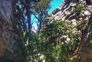 Table Mountain: Tranquility Cracks Hike