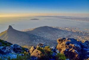 Table Moutain & Cape Peninsula: Full-day Tour
