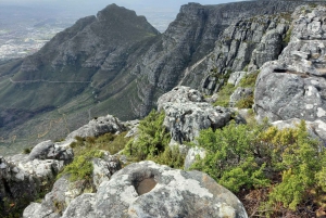 Table Moutain & Cape Peninsula: Full-day Tour