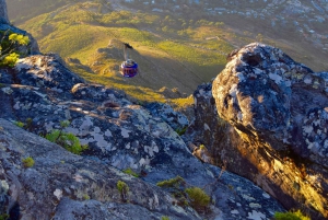 Table Moutain & Cape Peninsula: Full-day Tour