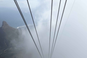 Table Moutain & Cape Peninsula: Full-day Tour