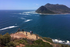 Table Moutain & Cape Peninsula: Full-day Tour