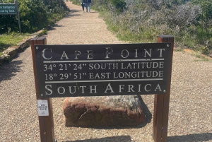 Table Moutain & Cape Peninsula: Full-day Tour