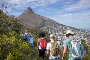 Cape Town: A unique guided walking experience