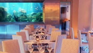 Top 5 Restaurants in Cape Town