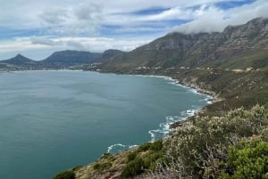 La experiencia definitiva en el Cabo de Buena Esperanza