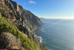 La experiencia definitiva en el Cabo de Buena Esperanza