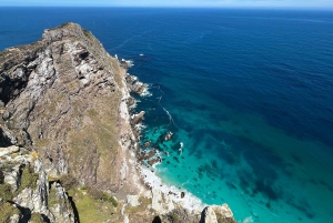 La experiencia definitiva en el Cabo de Buena Esperanza