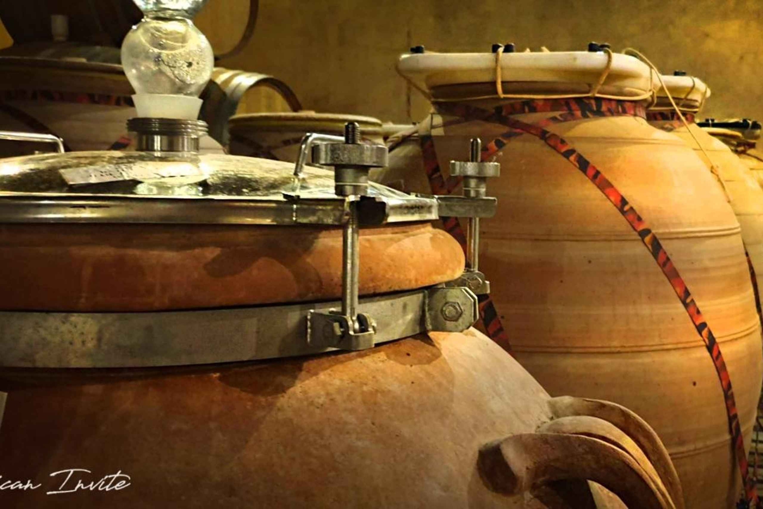 Drie wijnstreken van de Kaap: privétour met wijnmaker.