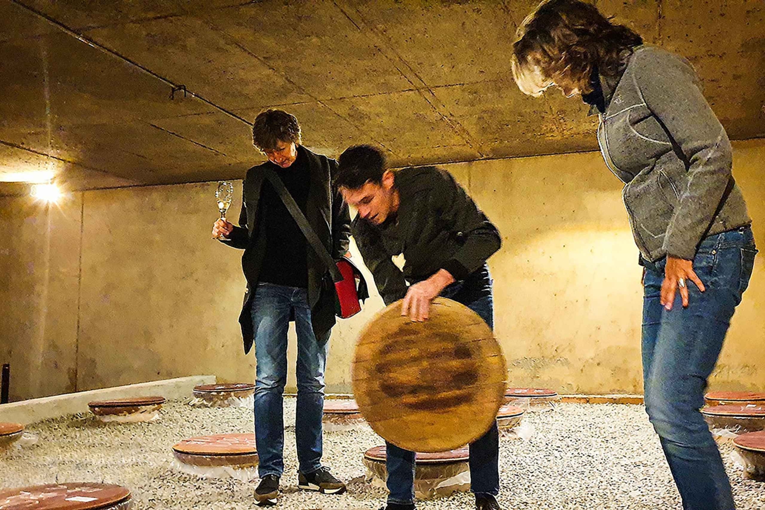 Drie wijnstreken van de Kaap: privétour met wijnmaker.